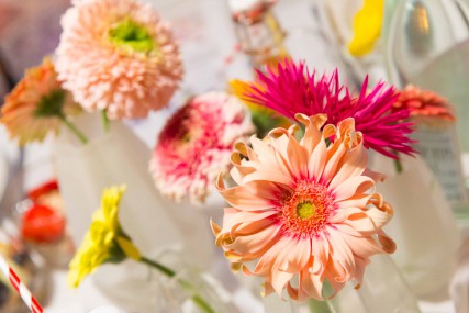 Port-2016-mooi-wat-bloemen-doen-011